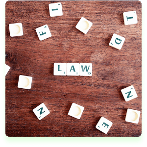 No Legal Jargon or Fluff No Legal Jargon or Fluff